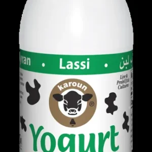 Karoun Mint Flavor Yogurt Drink 16 fl. oz