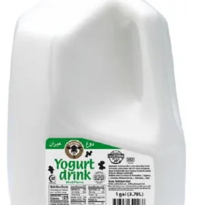 Karoun Mint Flavoured Yogurt Drink 3.78 LTR
