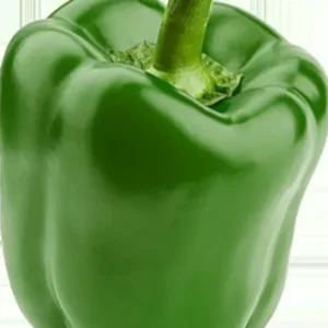 Bell Pepper Green 1 lb