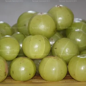 Amla per lb