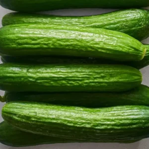 Cucumber Persian 1 lb