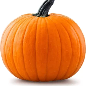 Pumpkin 1 lb