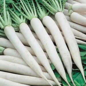 Mooli 1 lb