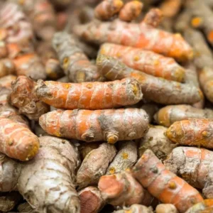 Fresh turmeric per lb