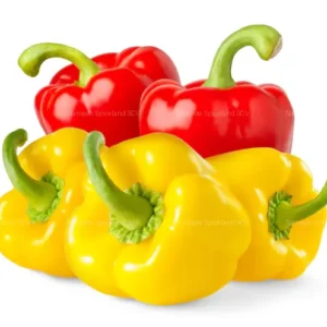 Red/yellow bellpepper 1 lb