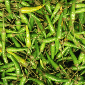 Thai Chilli 0.50lb